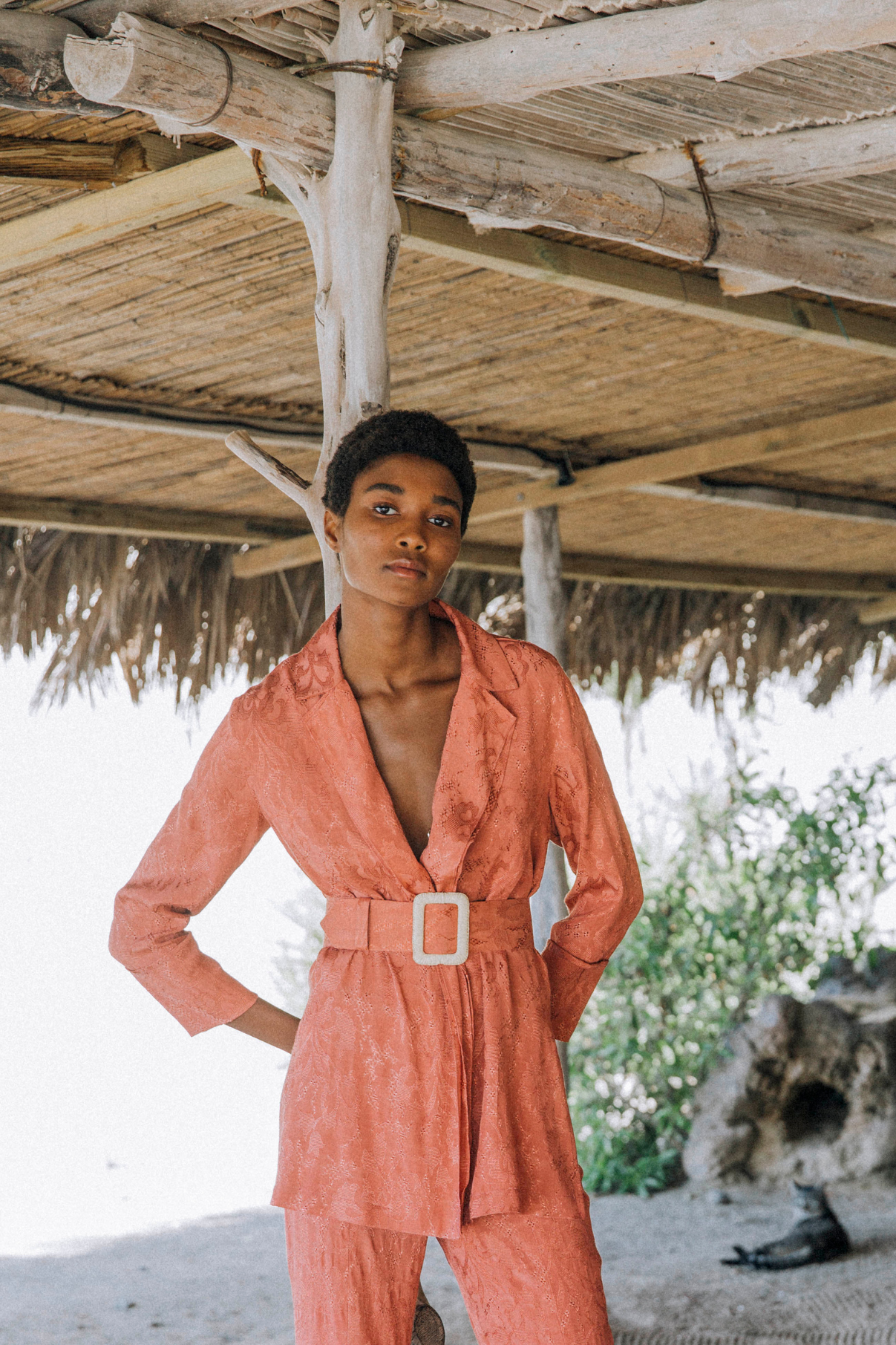 CHAQ. LION JCQ SIENNA EMBROIDERY