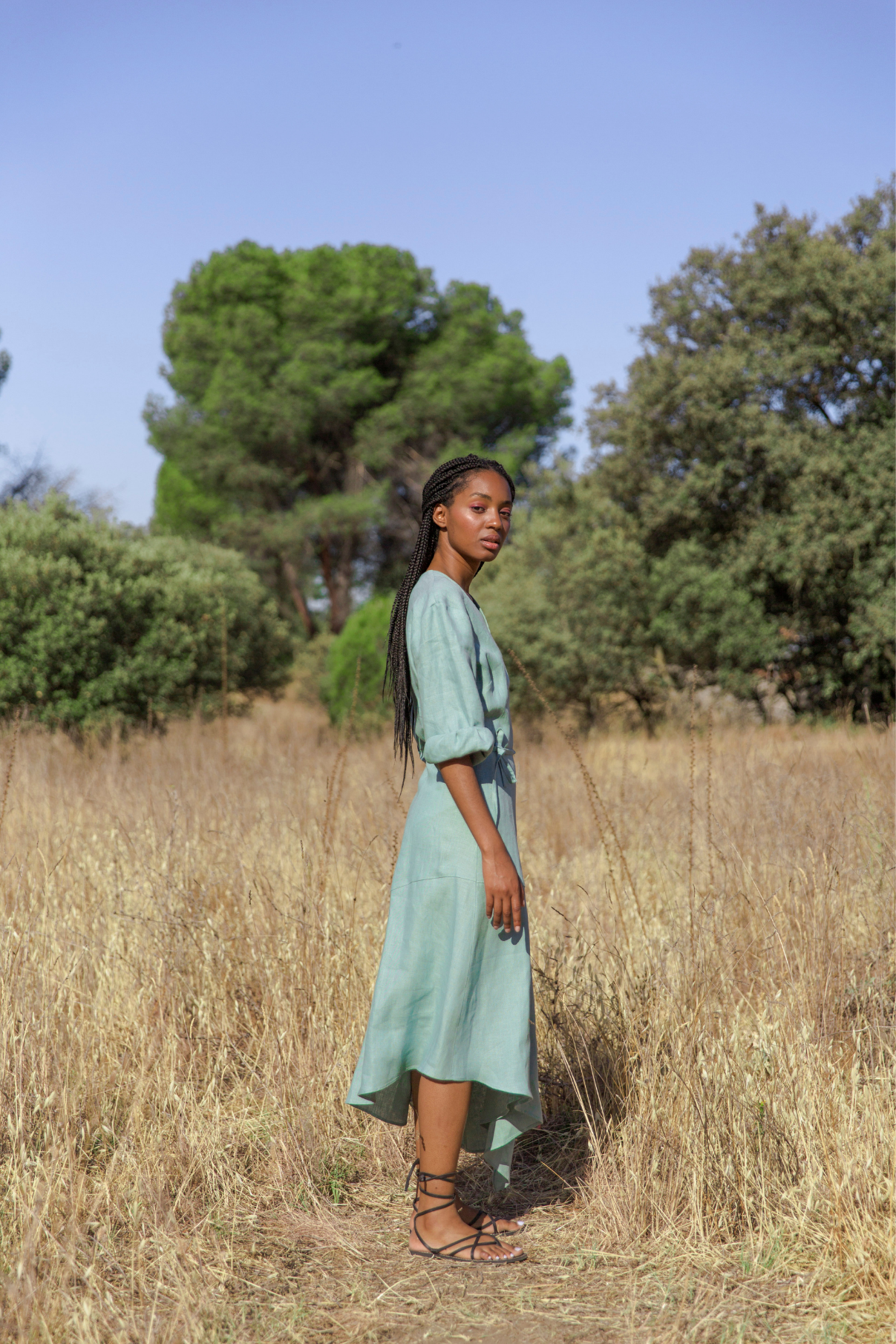 JADE THREAD SLEEVES DRESS