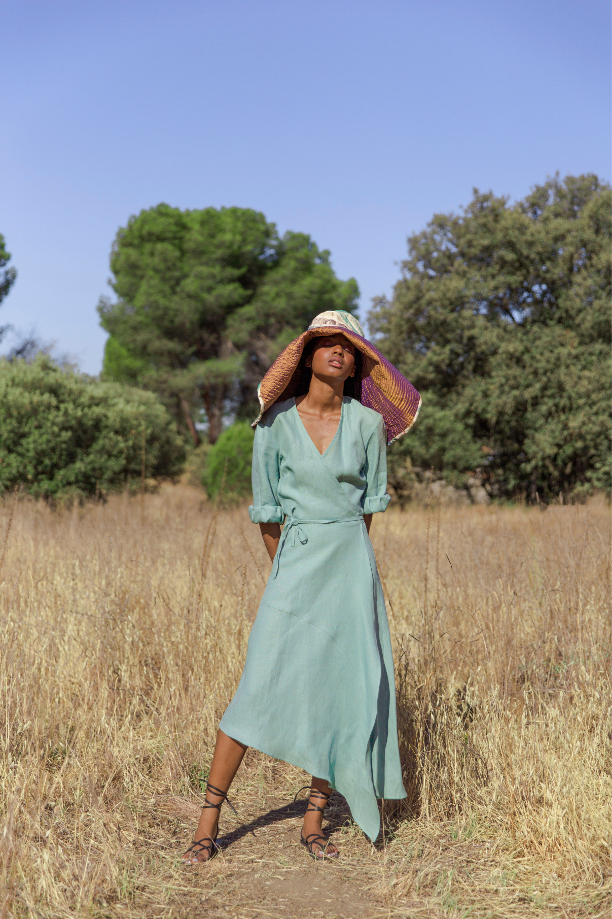 JADE THREAD SLEEVES DRESS