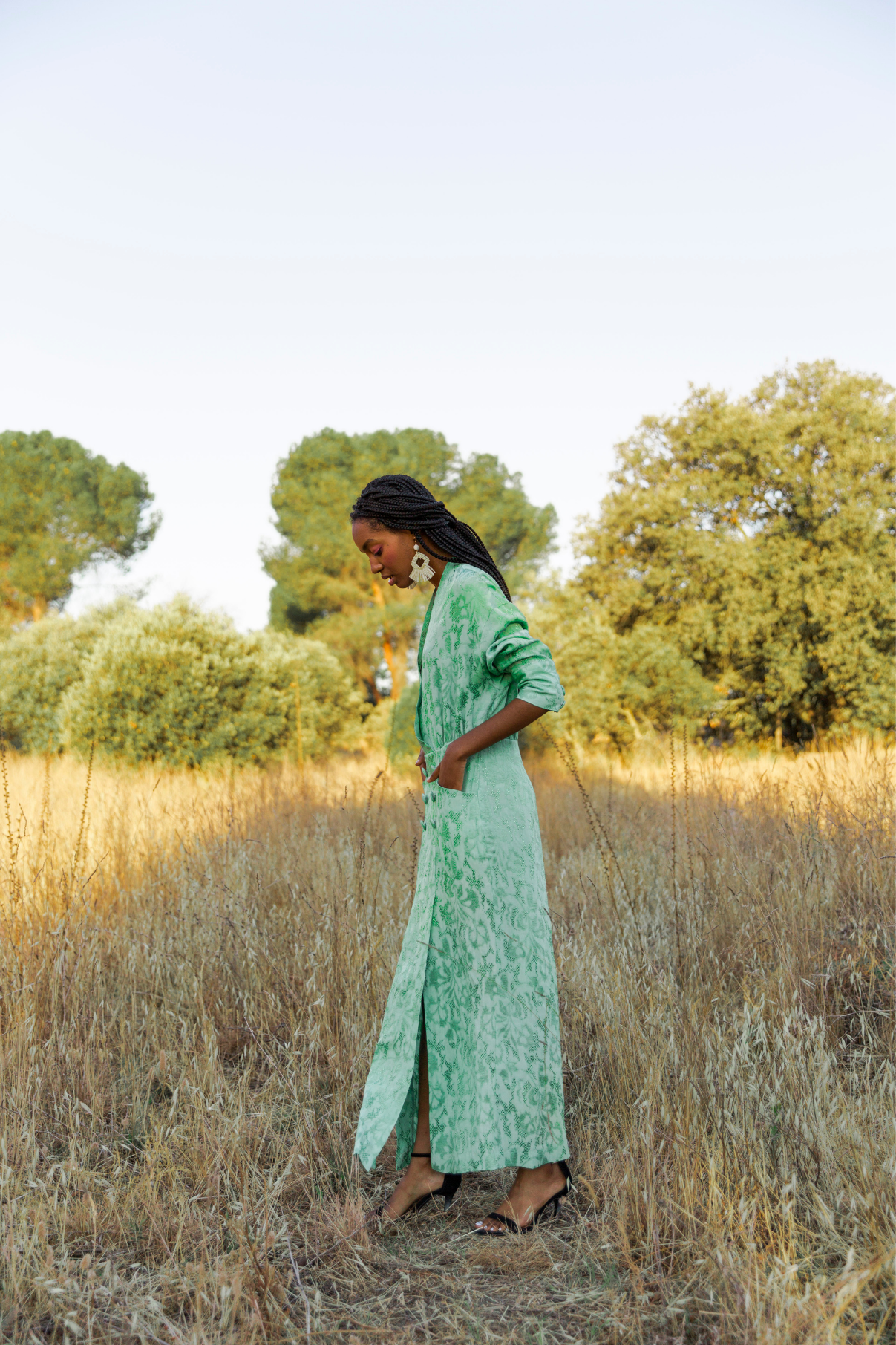 GIORGIA JADE EMBROIDERED DRESS