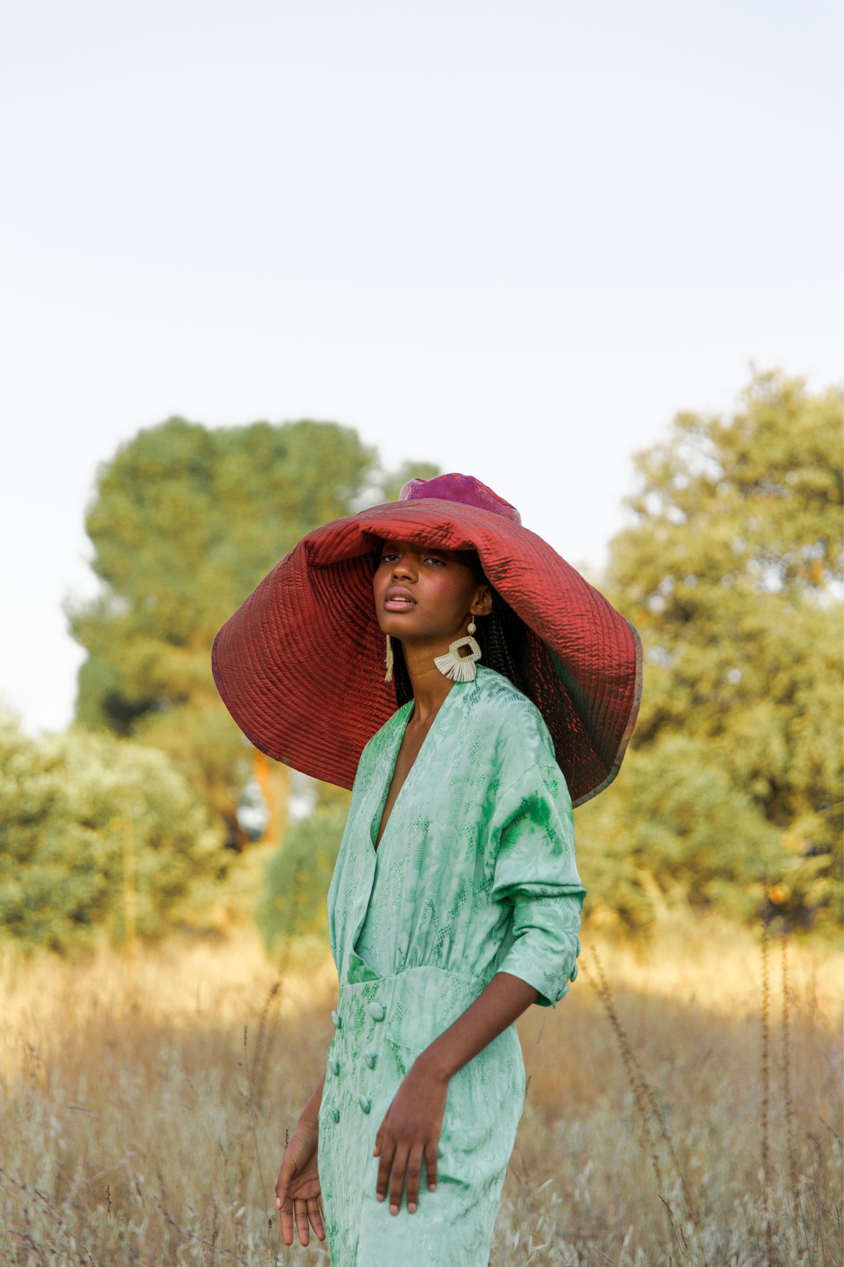 GIORGIA JADE EMBROIDERED DRESS
