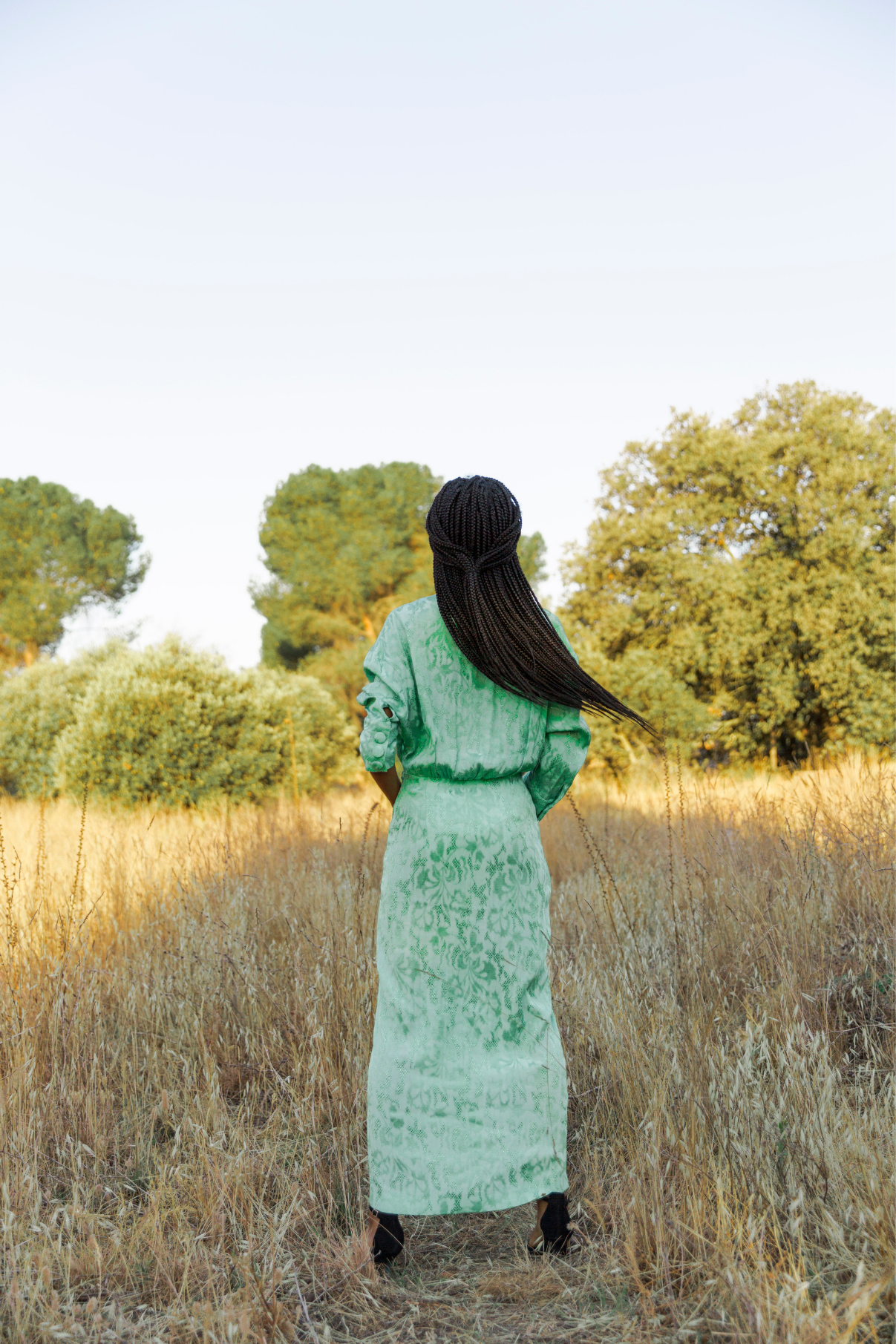 GIORGIA JADE EMBROIDERED DRESS