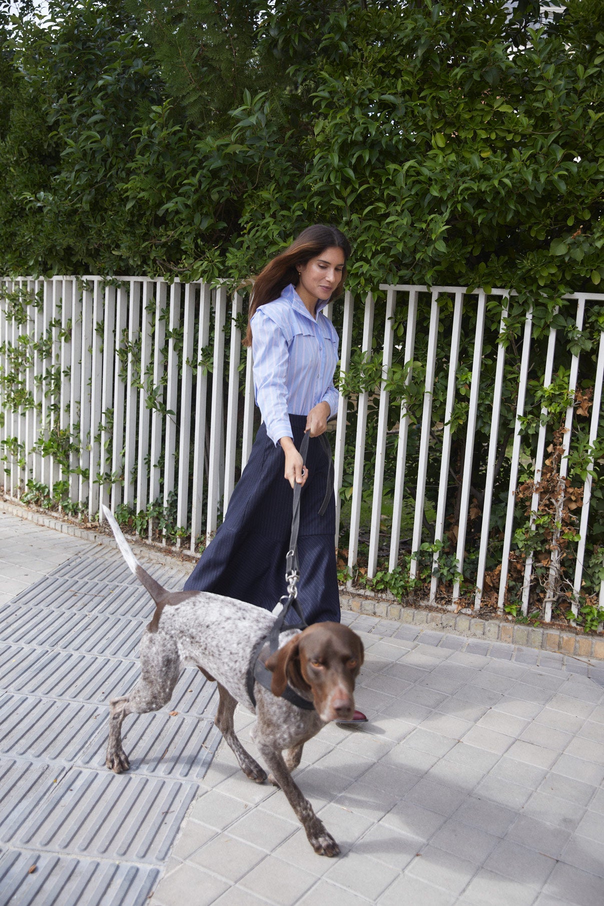 FALDA SOFIA DIPLOMÁTICO MARINO